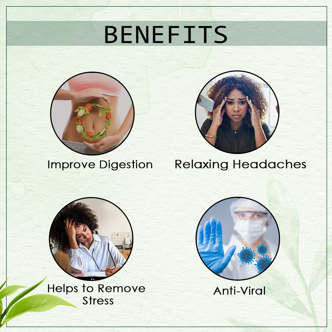 Tulsi Sweet Lemon - Image 3