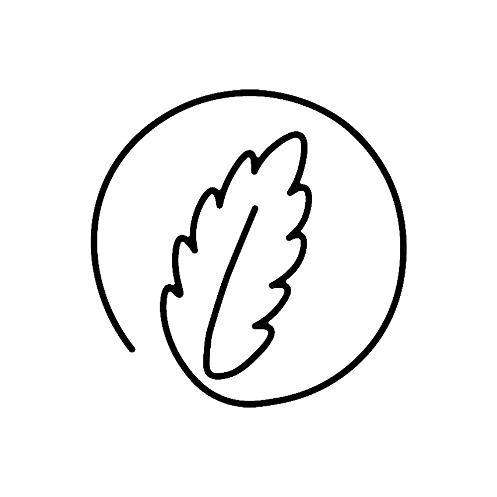 Stevia Leaves in Tea