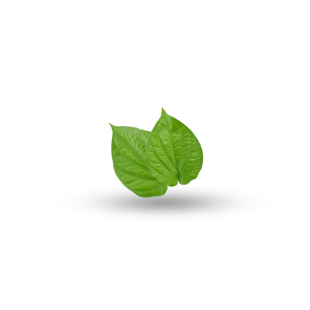 Paan Leaves In Tea
