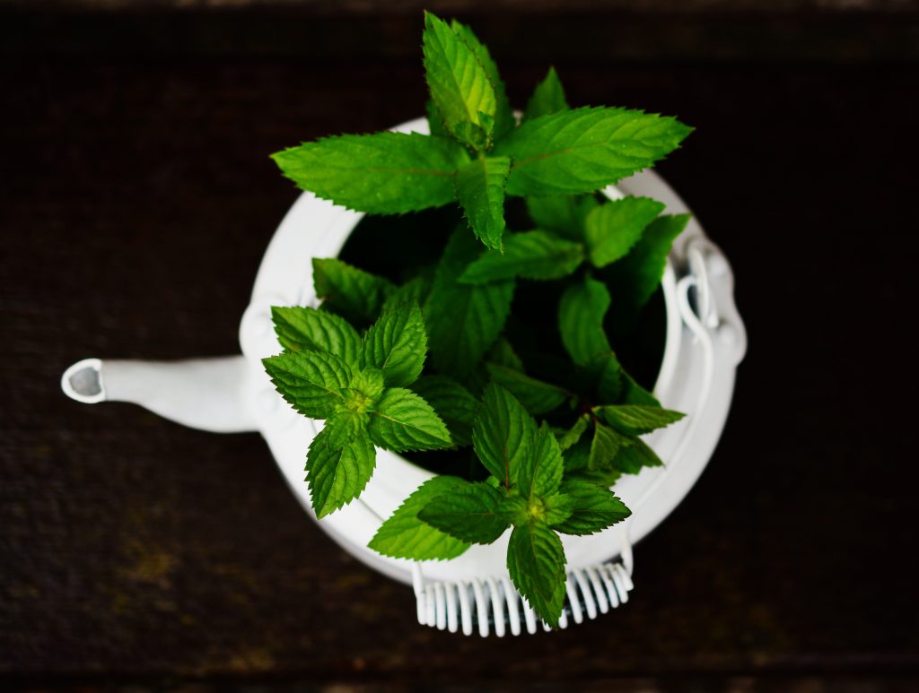 A bowl filled with peppermint leaves for demonstration.